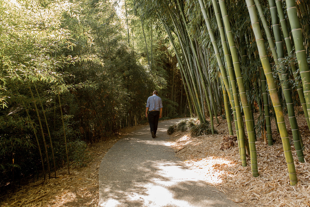 Huntington Library & Botanic Gardens