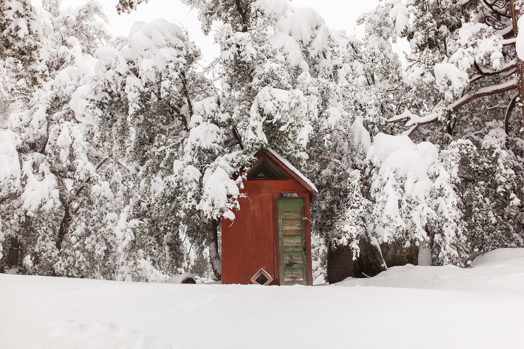 Thanksgiving in Idyllwild, 2019